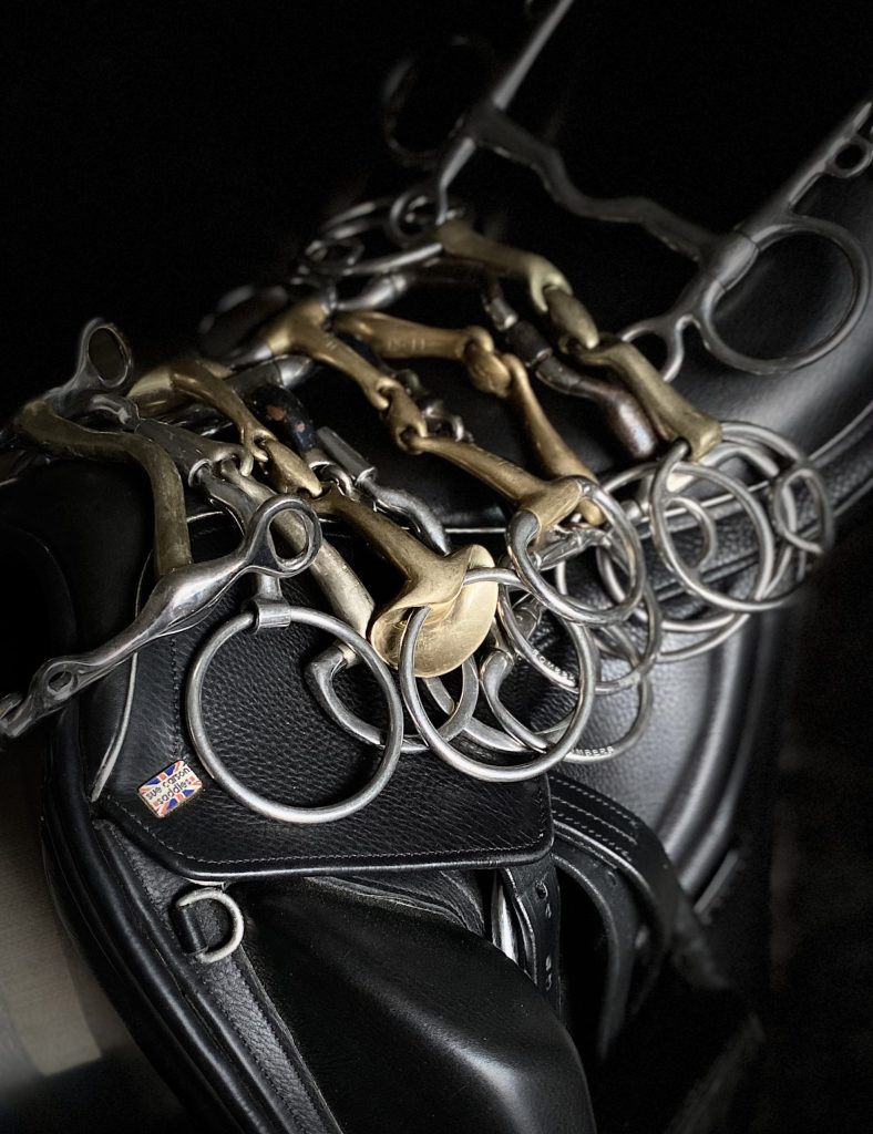 selection of horse bits