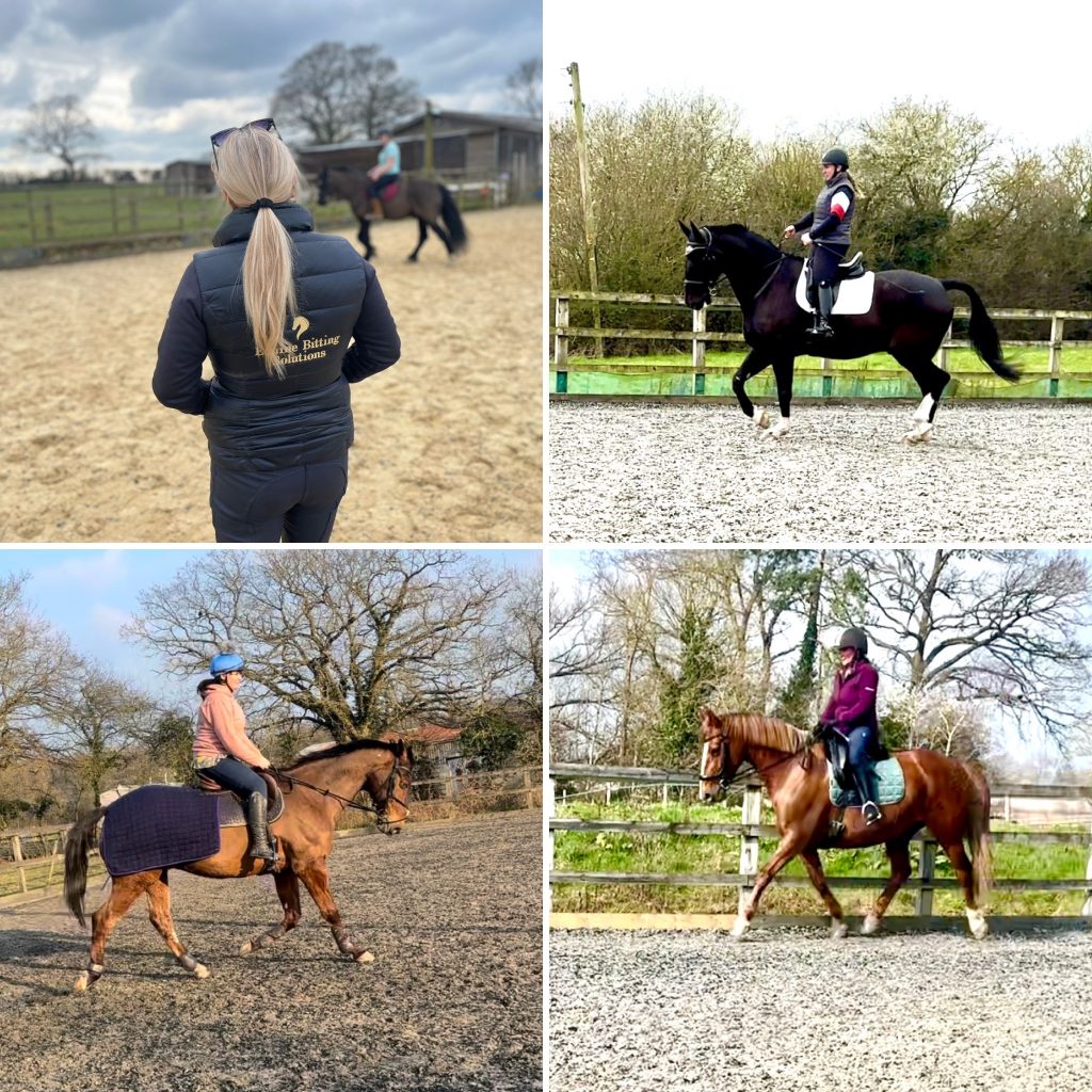 Horse during ridden bit fitting consultation assessing contact and comfort