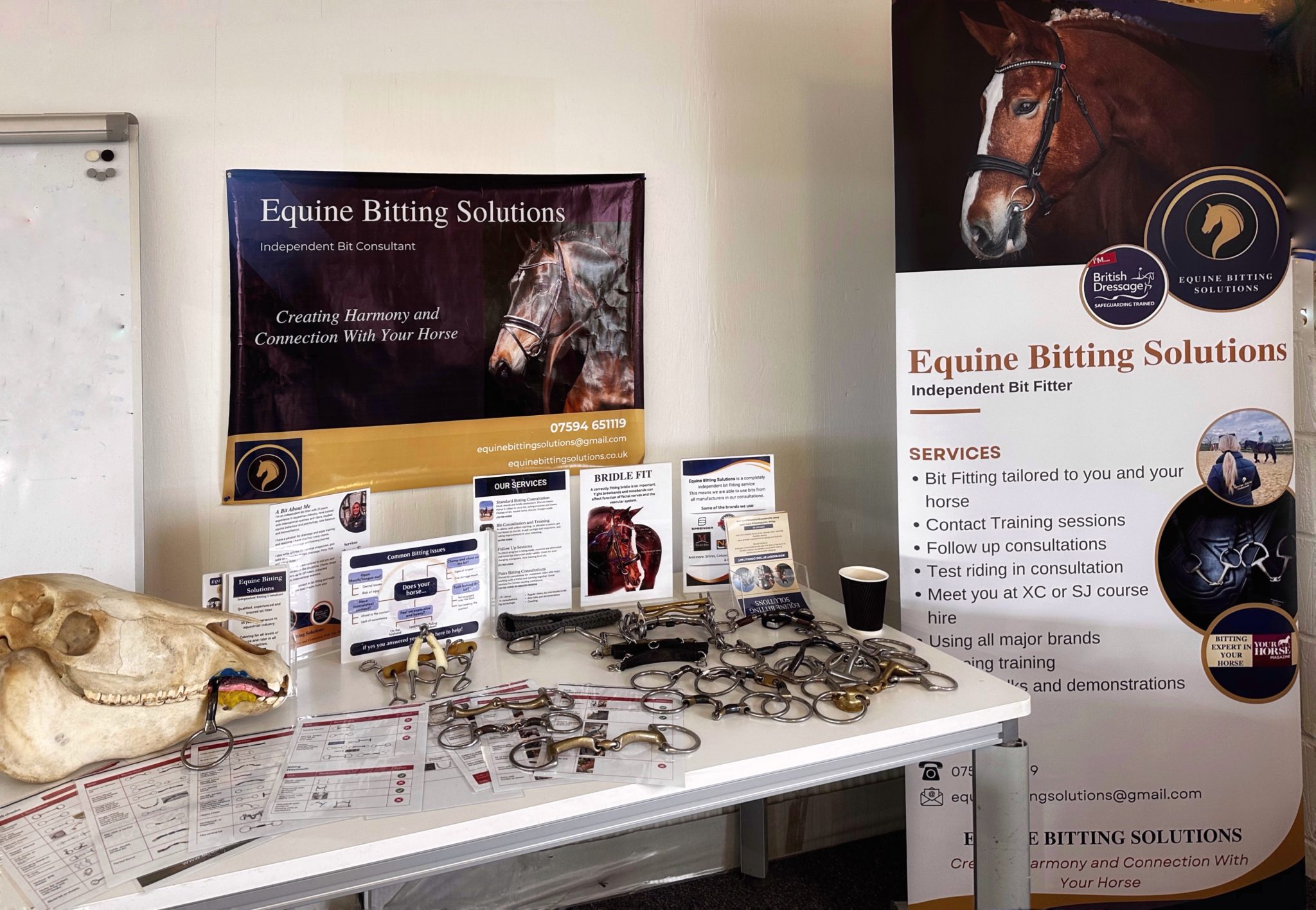 Dressage Camp - Equine Bitting Solutions