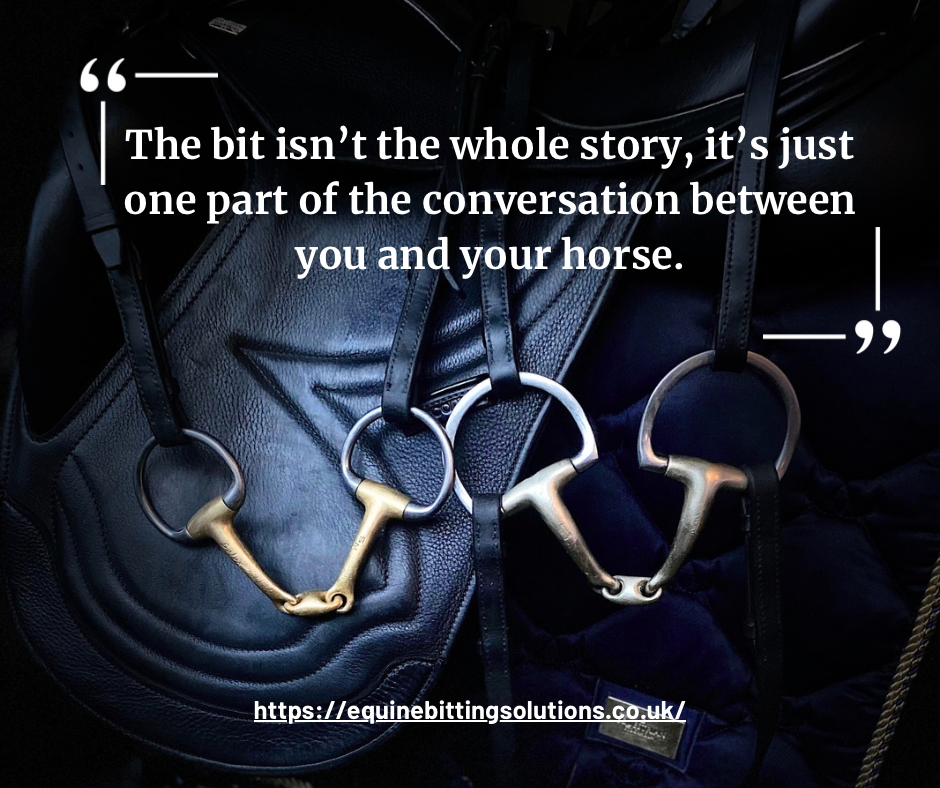 Horse bit fitting advice and bit selection for comfort and contact