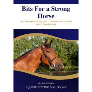 Bits for a Strong Horse