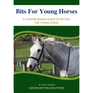 Bits for Young Horses