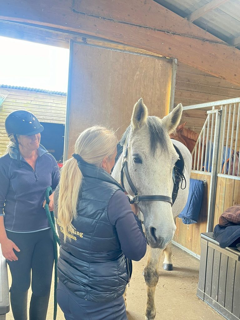 bit fitting consultation taking place at stables