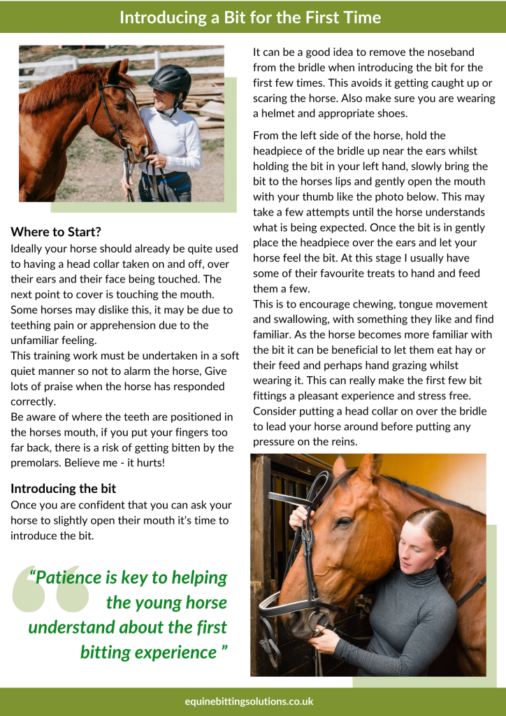 Bits For a Young Horse Guide - introducing the bit for the first time