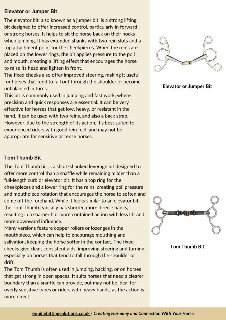 Inside page from Bits for a Strong Horse guide showing bit designs suitable for strong horses