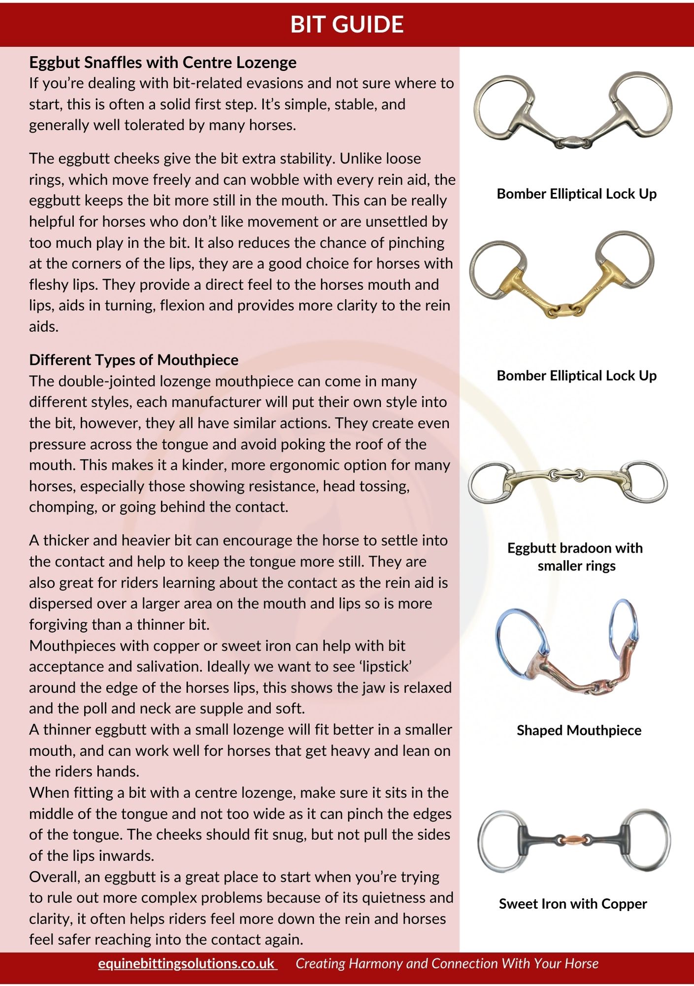 Inside page from Common Bit Evasions 