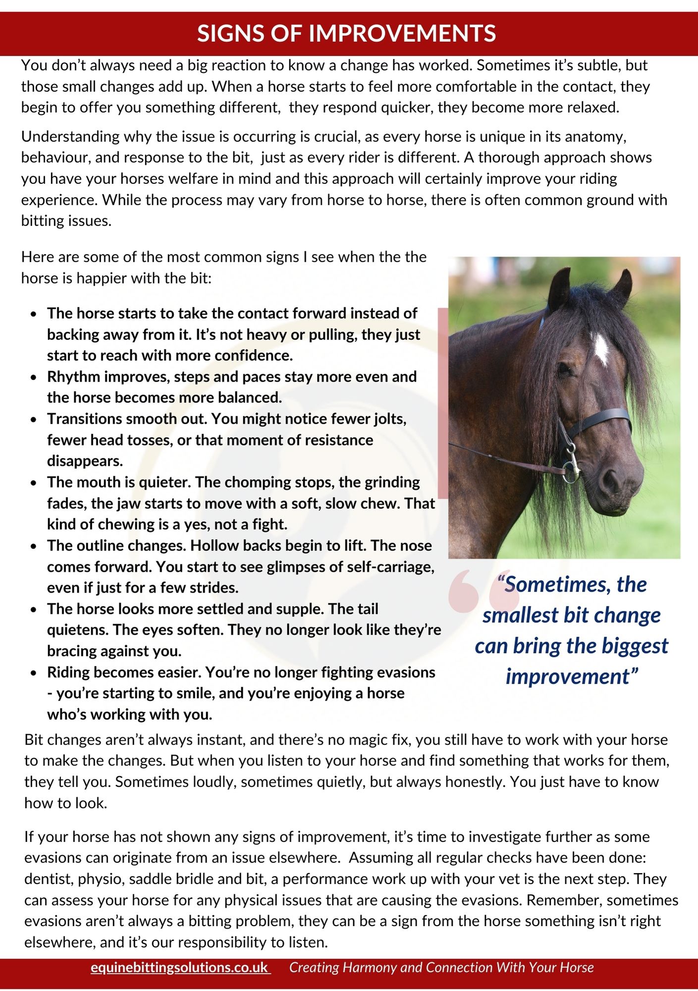 Inside page view of Common Bit Evasions Guide