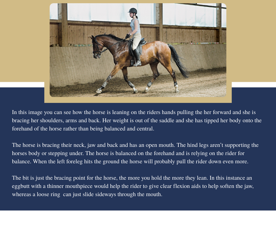 Horse leaning on the bit with rider